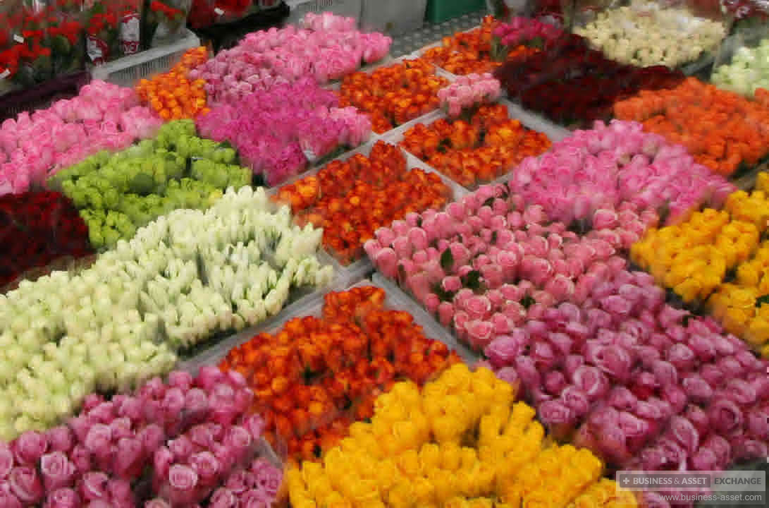 Где Купить Свежие Цветы В Спб