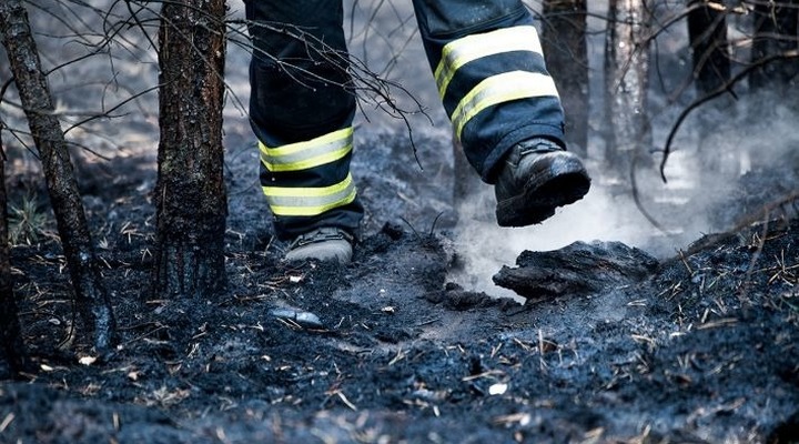 2018 ist ein rekordjahr für waldbrände in Brandenburg
