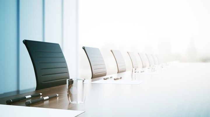The Role of Directors and the Board in Charity and Not-For-Profit Organisations