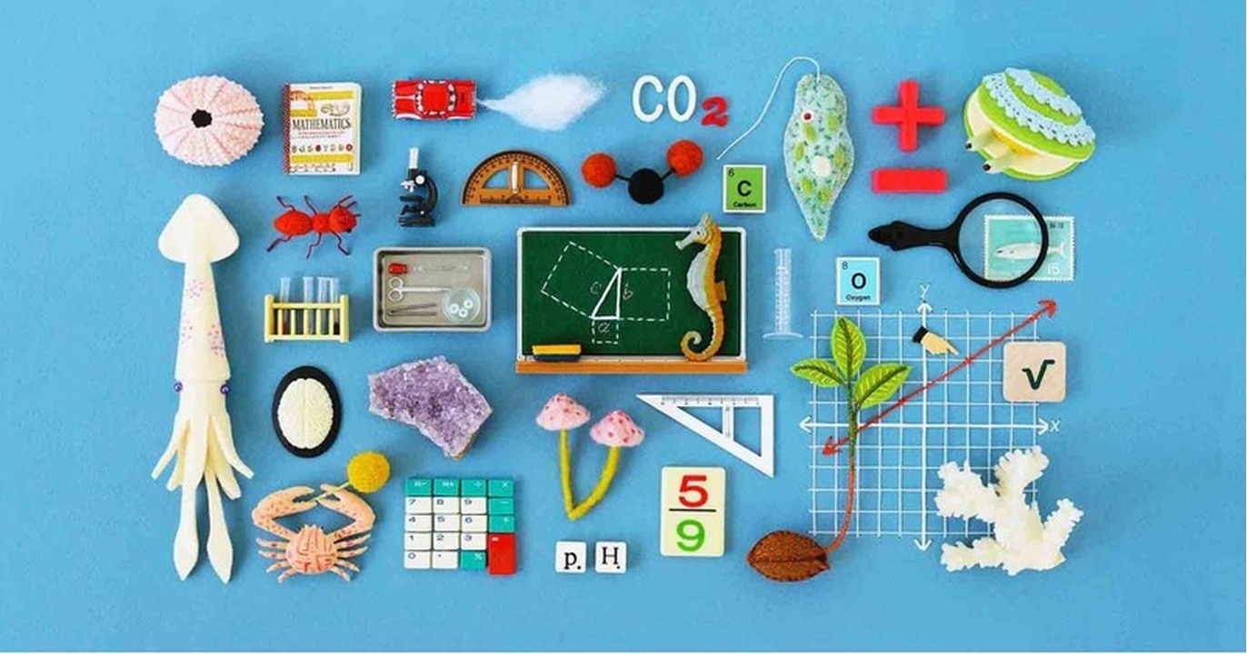 Common Core Math: Conceptual understanding for the 21st century