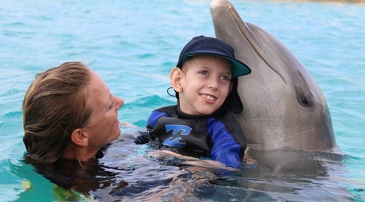 The case against dolphin assisted therapy