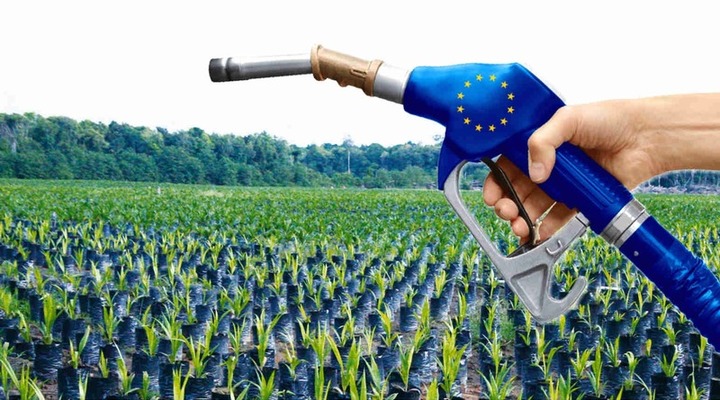 EU in fresh row over biofuels «green» claims