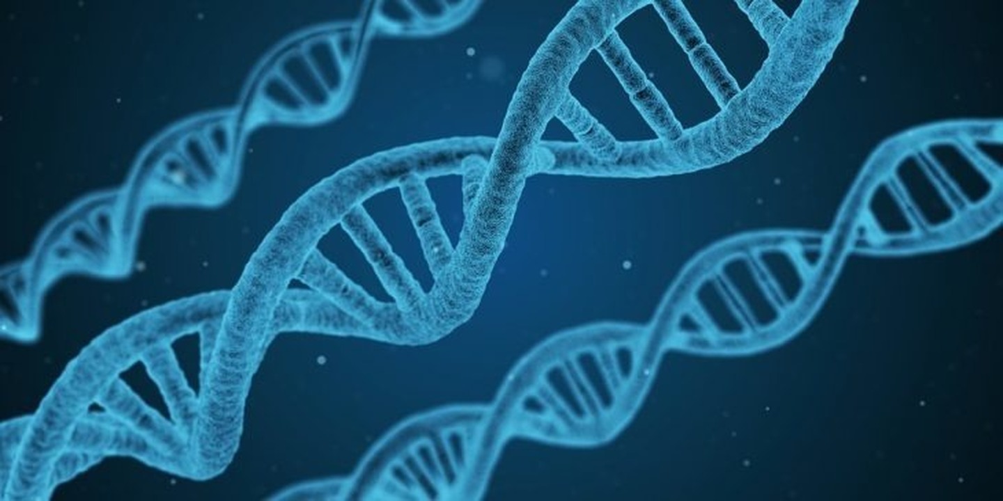 UniBa, algoritmo scopre nuove correlazioni tra geni nell’uomo: il lavoro dei ricercatori