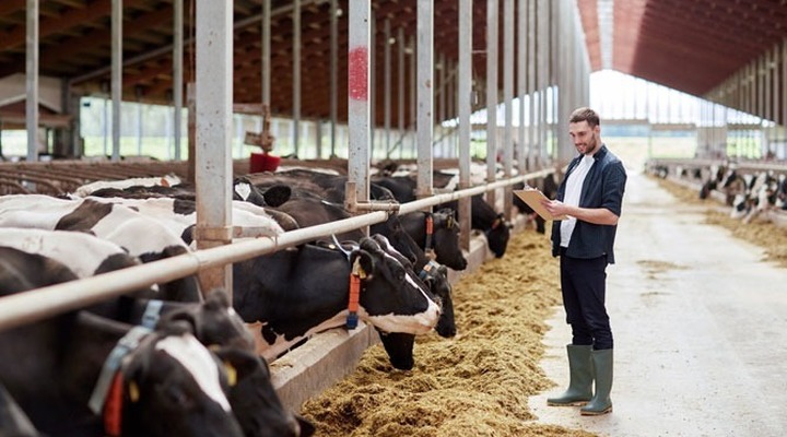Livestock smart farming e benessere animale