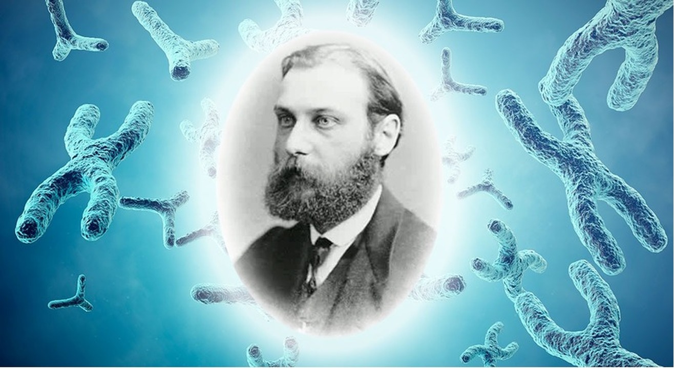 Walther Flemming (1843-1905) y el descubrimiento de los cromosomas