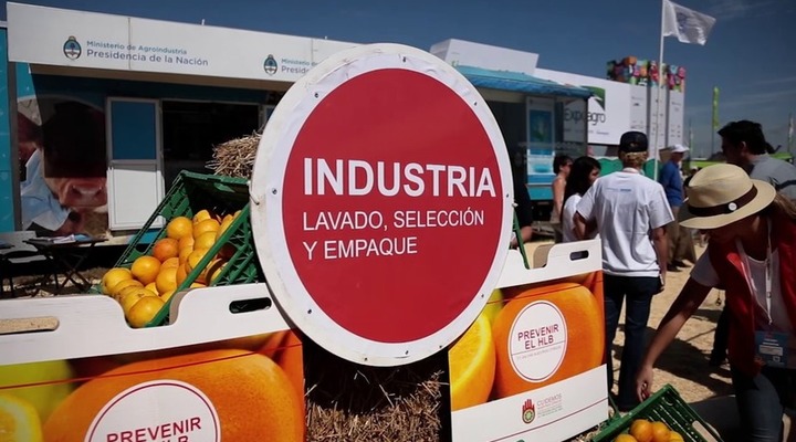 Reconocimiento Expoagro a la trayectoria e innovación de contratistas rurales