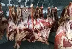 Готовый бизнес - Мясокомбинат