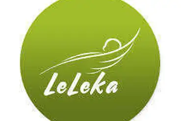 купить | Бизнес - Сумка-органайзер для мам LeLeka | UA322786