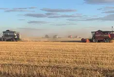 Готовый бизнес - Агро Холдинг 53 056,8 га