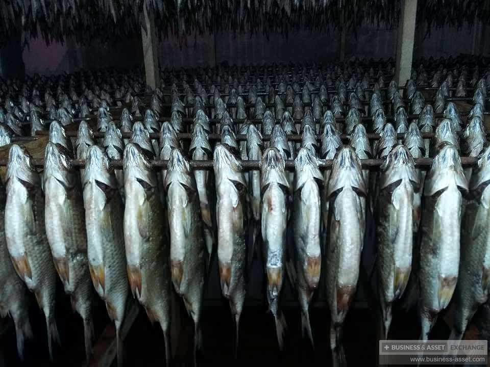 купить | Производство вяленой рыбы | RU098552-2