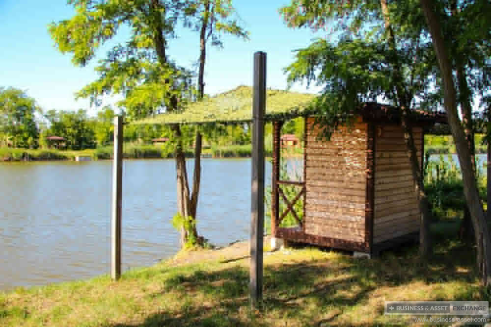 Камыш в краснодаре. Камыш. Прическа камыш. Камыши белгород. Чакан рогоз.