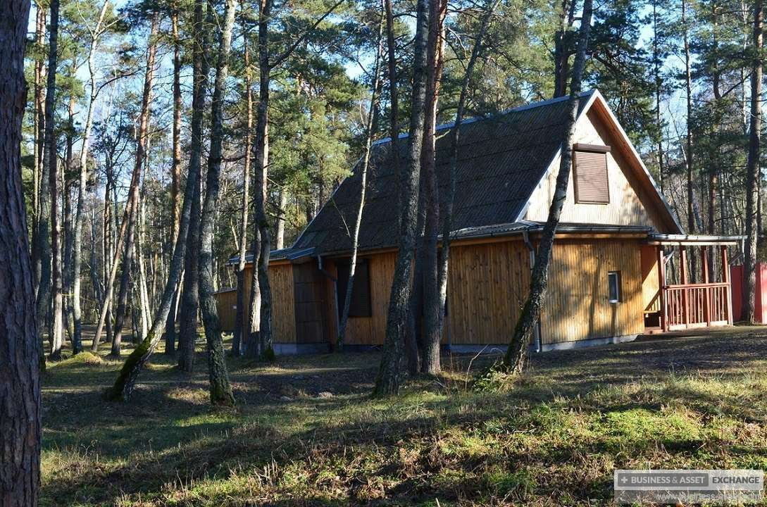 Турбазы на косе. Турбаза Лесное Куршская коса. Турбаза на Куршской косе. Турбазы Куршская коса. База отдыха Лесное Калининградская область.